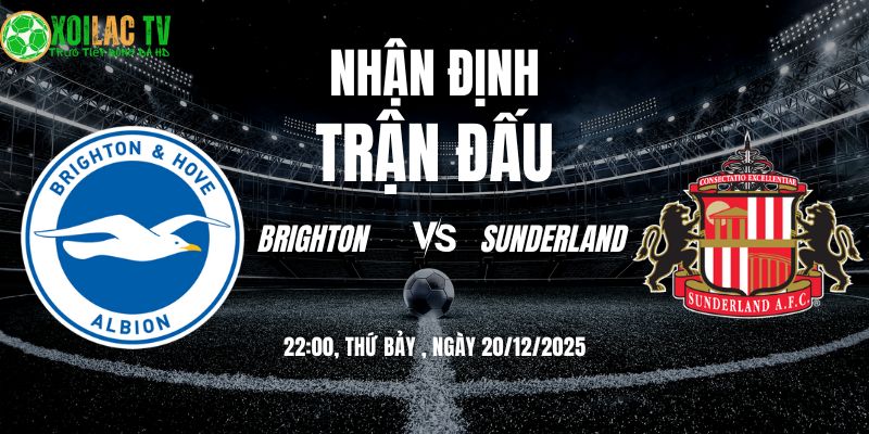Nhận định Brighton vs Sunderland 22h00 20/12 8 Nhận định Brighton vs Sunderland 22h00 20/12/2025